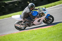 brands-hatch-photographs;brands-no-limits-trackday;cadwell-trackday-photographs;enduro-digital-images;event-digital-images;eventdigitalimages;no-limits-trackdays;peter-wileman-photography;racing-digital-images;trackday-digital-images;trackday-photos